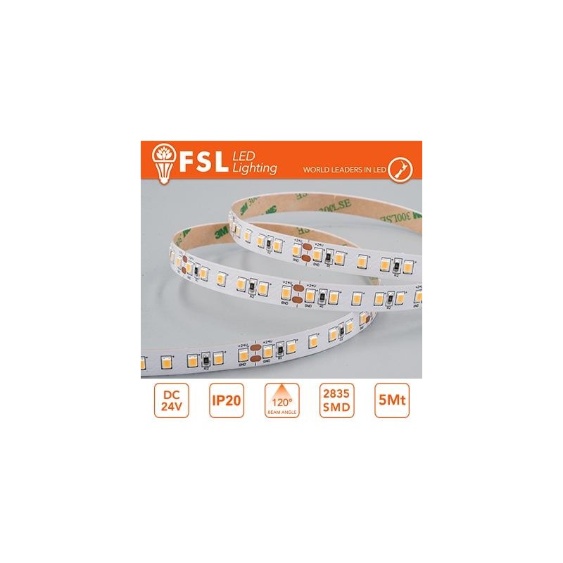 Striscia LED 5m IP20 2835 24V - 20W/m 240led/m 6500K