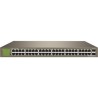 Switch Unmanaged 48 porte 10/100/1000Mbps - 48GE+2SFP