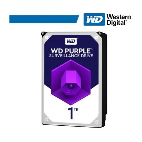 Western Digital HDD int.1TB WD11PURZ, PURPLE