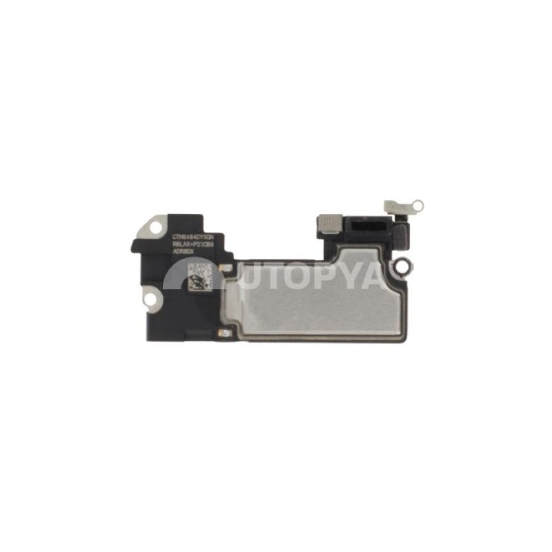 Auricolare Interno iPhone 12