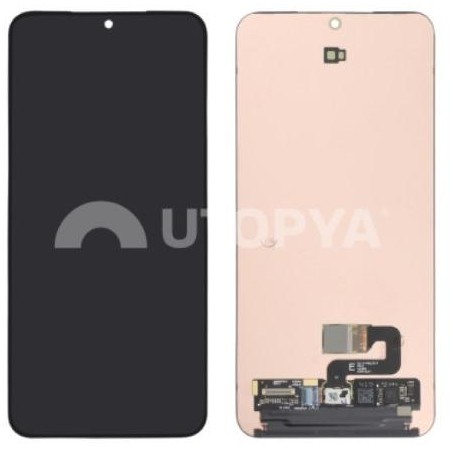 Galaxy S24+ (S926B) Display completo (senza cornice)