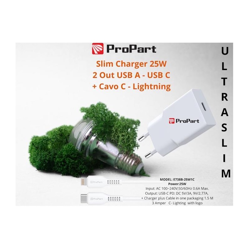 Slim Carica Batterie + Cavo Tipo C Lightning 25W 1 Out USB C